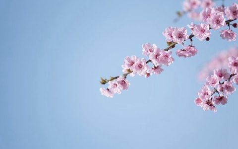 思维强迫症状的恶性循环